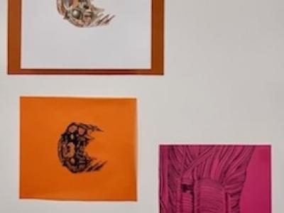 Thumbnail Img 7672
